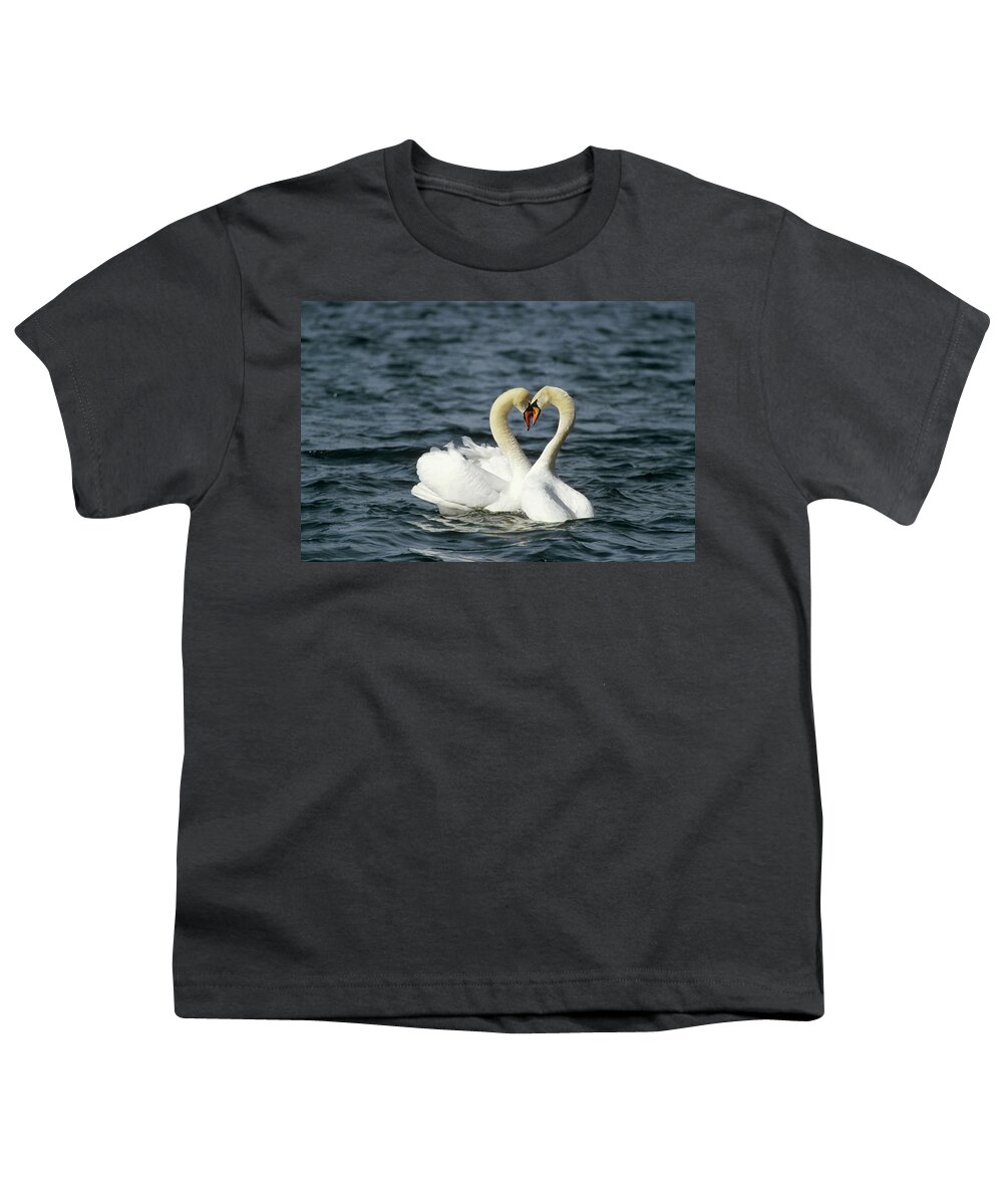 00196071 Youth T-Shirt featuring the photograph Mute Swan Affectionate Pair by Konrad Wothe