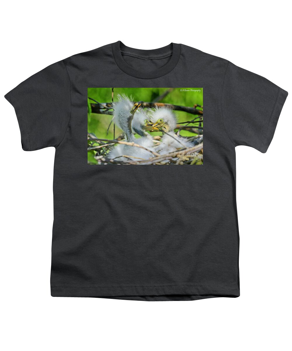 Great Egret Youth T-Shirt featuring the photograph Newborn Egrets by Barbara Bowen