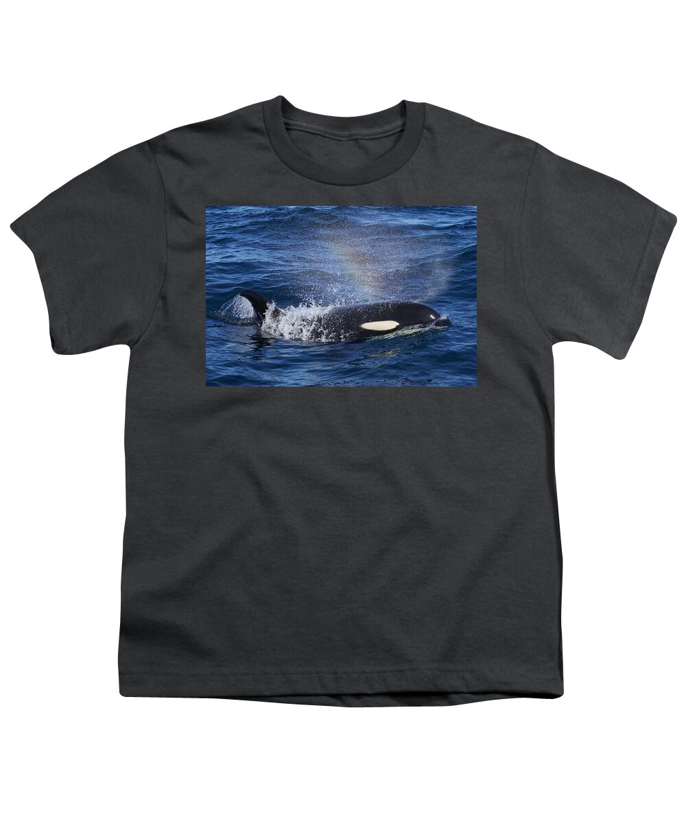 Hiroya Minakuchi Youth T-Shirt featuring the photograph Orca Surfacing Hokkaido Japan by Hiroya Minakuchi