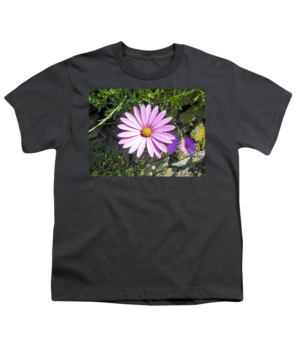 Europe Youth T-Shirt featuring the photograph Osteospermum - African Daisy - Pink by Rod Johnson