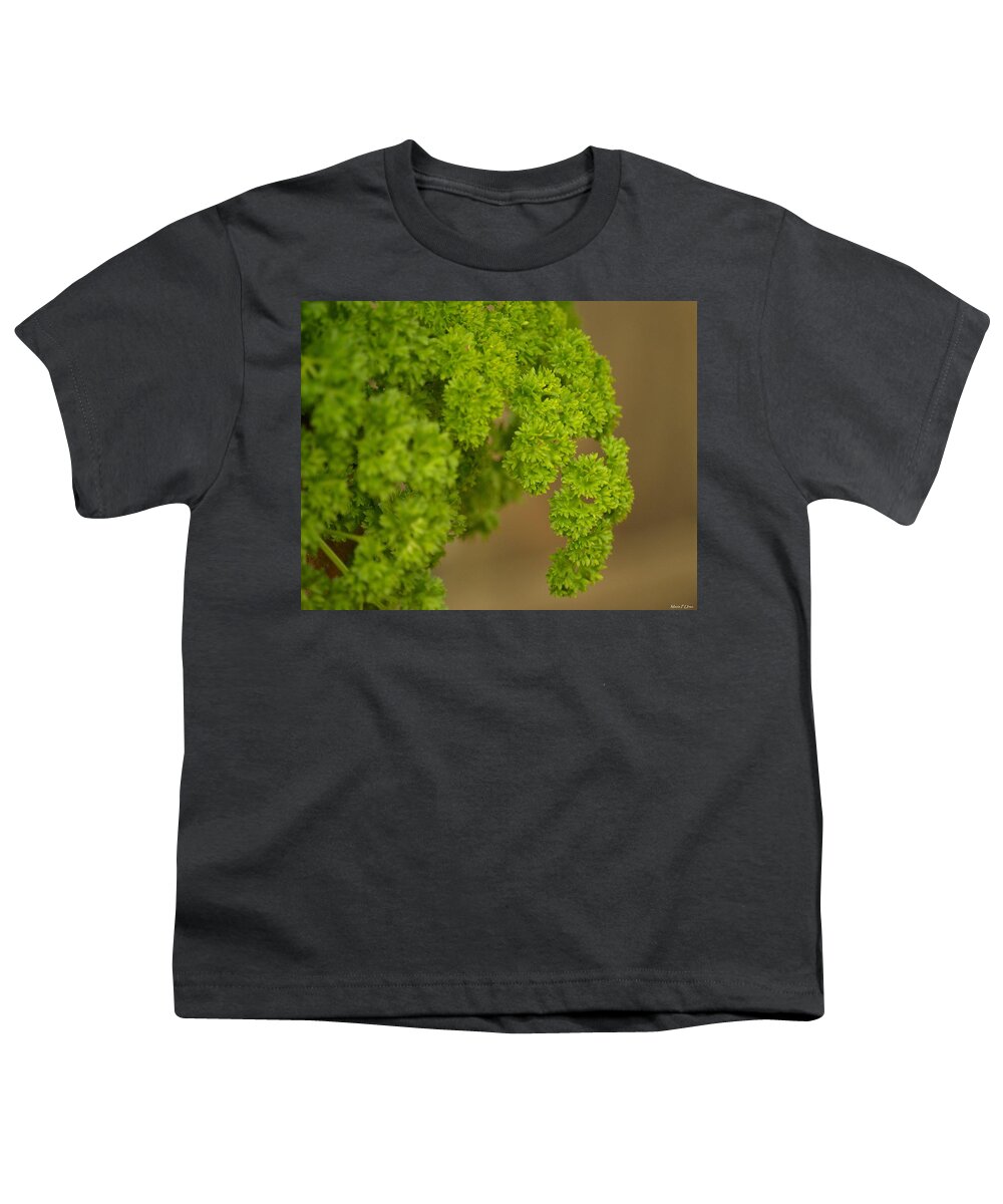 Overwintered Parsley Youth T-Shirt featuring the photograph Overwintered Parsley by Maria Urso
