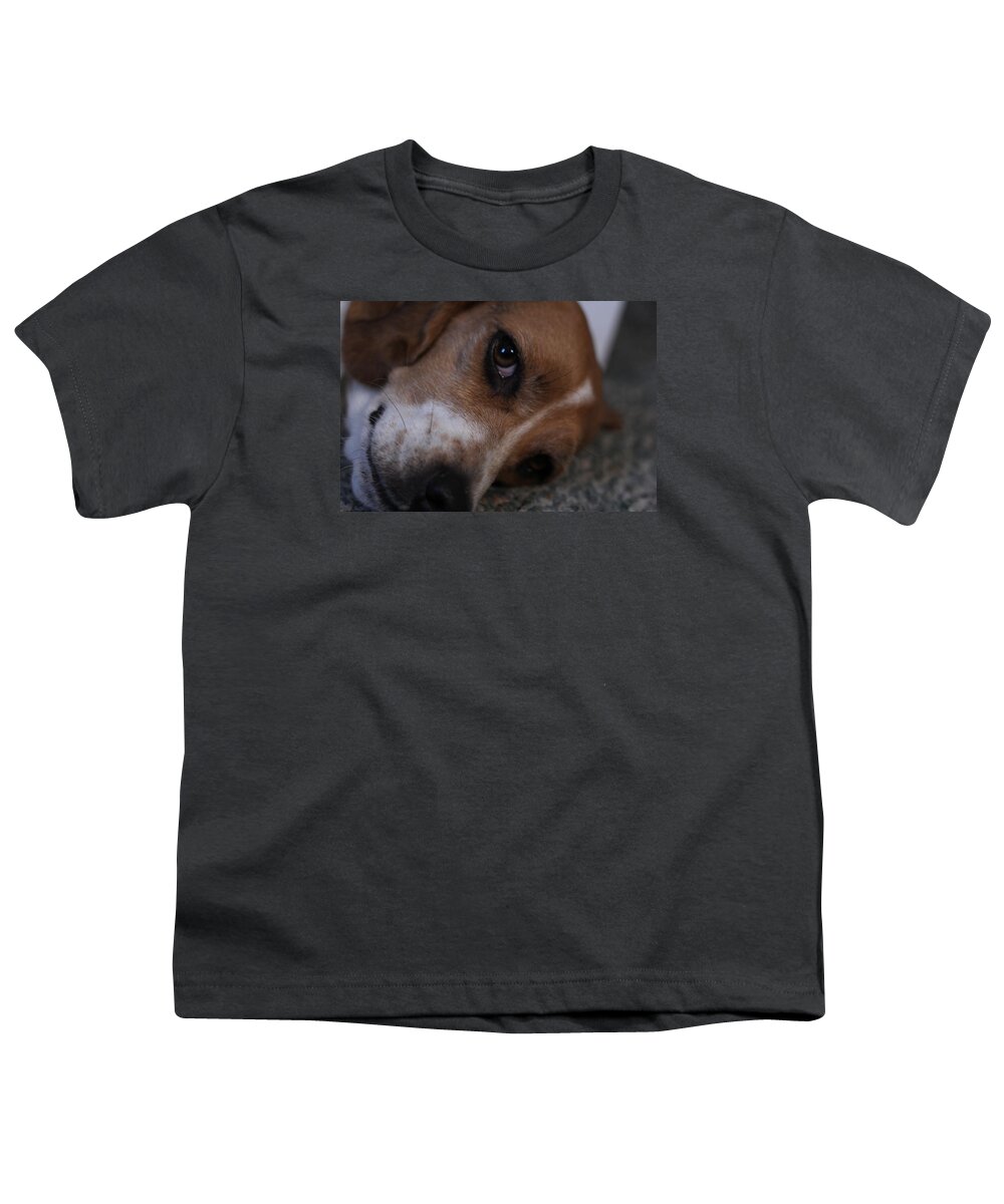 Beagle Youth T-Shirt featuring the photograph Penny the Beagle Dog by Valerie Collins