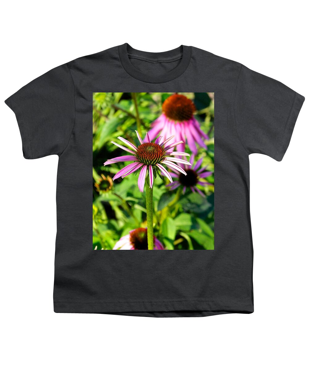 Fredericksburg Youth T-Shirt featuring the photograph Pink Daisy Vertical Photograph by Kristina Deane