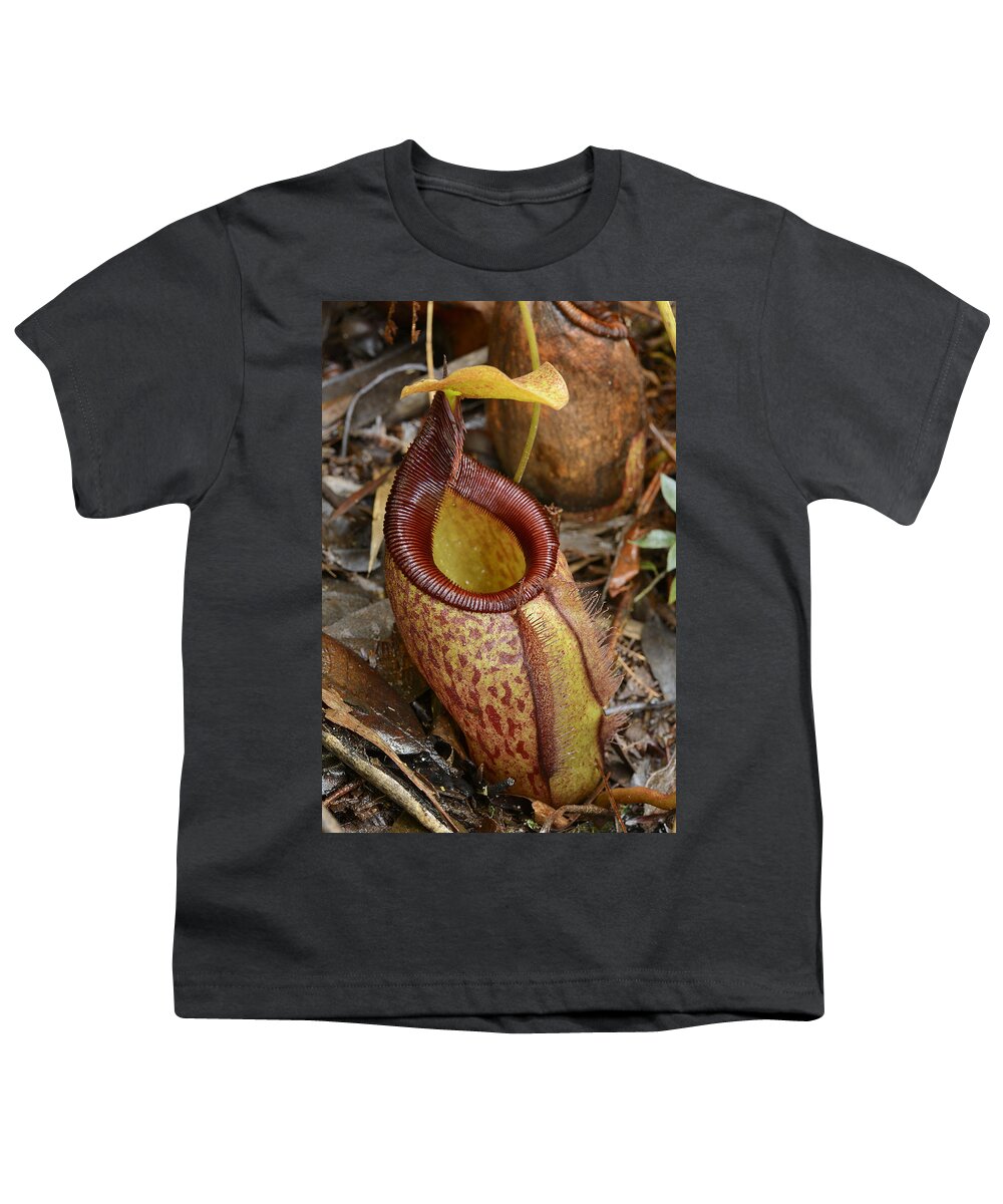 Ch'ien Lee Youth T-Shirt featuring the photograph Pitcher Plant Palawan Island Philippines by Ch'ien Lee