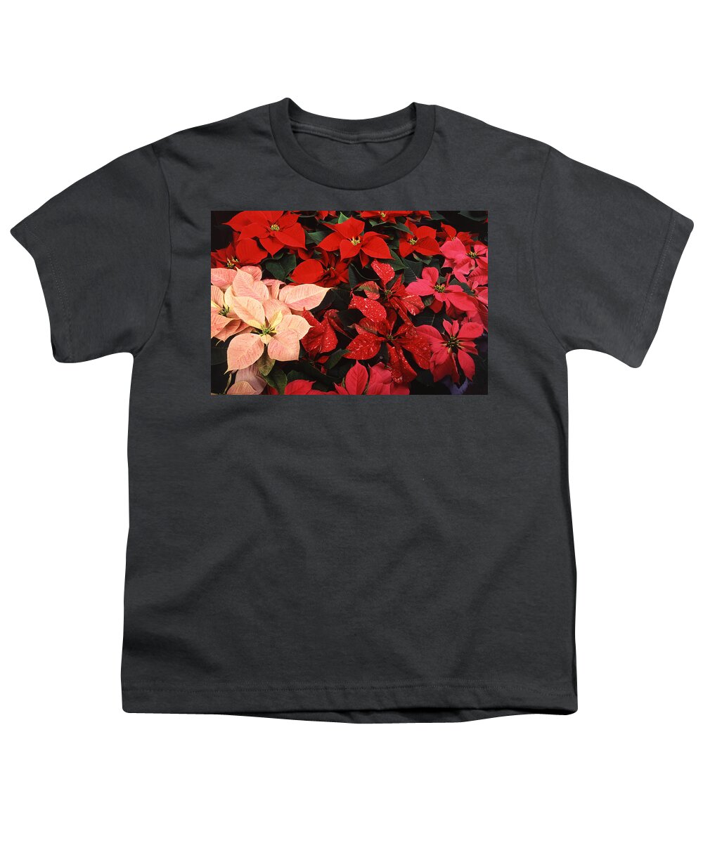 Christmas Youth T-Shirt featuring the photograph Poinsettia Christmas Holiday Flowers by Taiche Acrylic Art