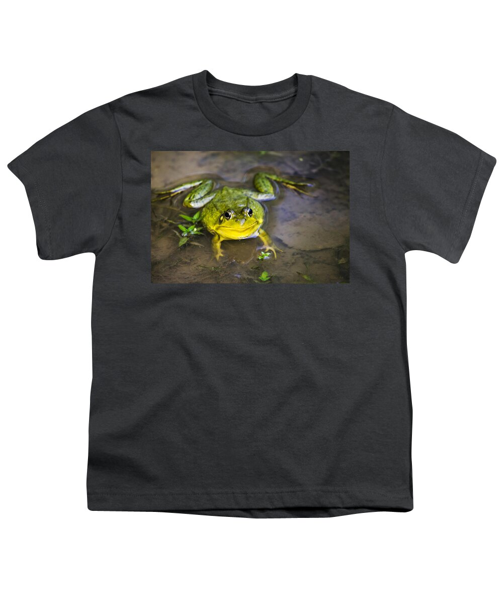 Green Frog Youth T-Shirt featuring the photograph Chubby Green Frog by Christina Rollo