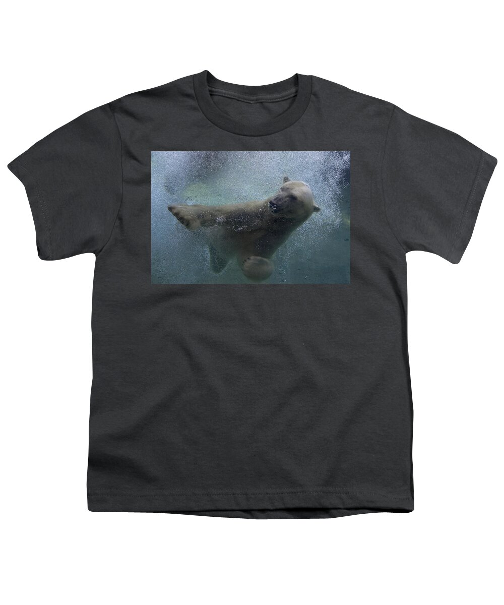 Feb0514 Youth T-Shirt featuring the photograph Polar Bear Swimming Underwater by San Diego Zoo