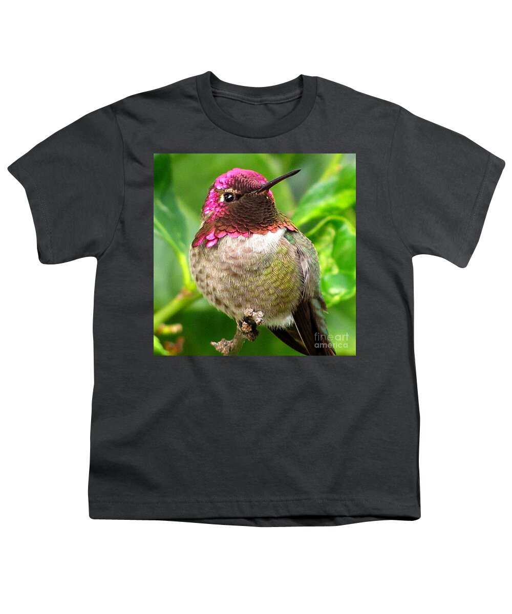 Anna's Hummingbird Youth T-Shirt featuring the photograph Posing For You by Marilyn Smith