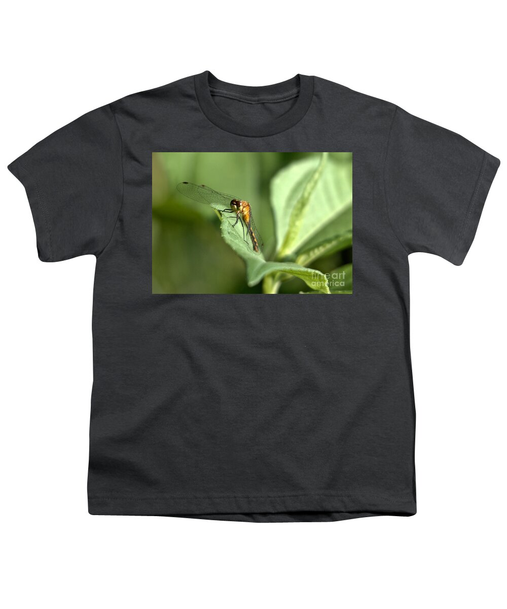 Red Darter Youth T-Shirt featuring the photograph Pretty Lady by Cheryl Baxter