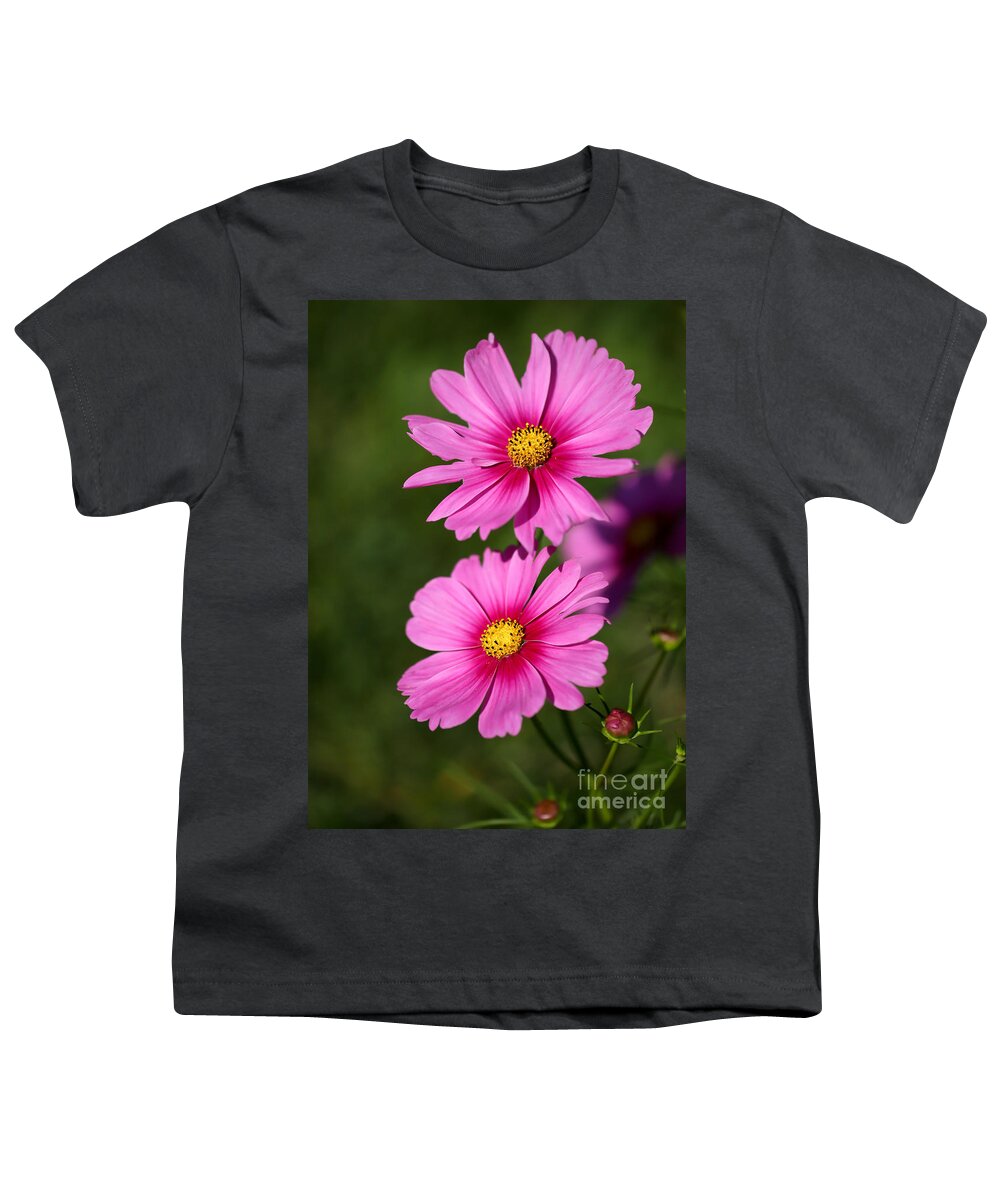 Landscape Youth T-Shirt featuring the photograph Pretty Pink Cosmos Twins by Sabrina L Ryan