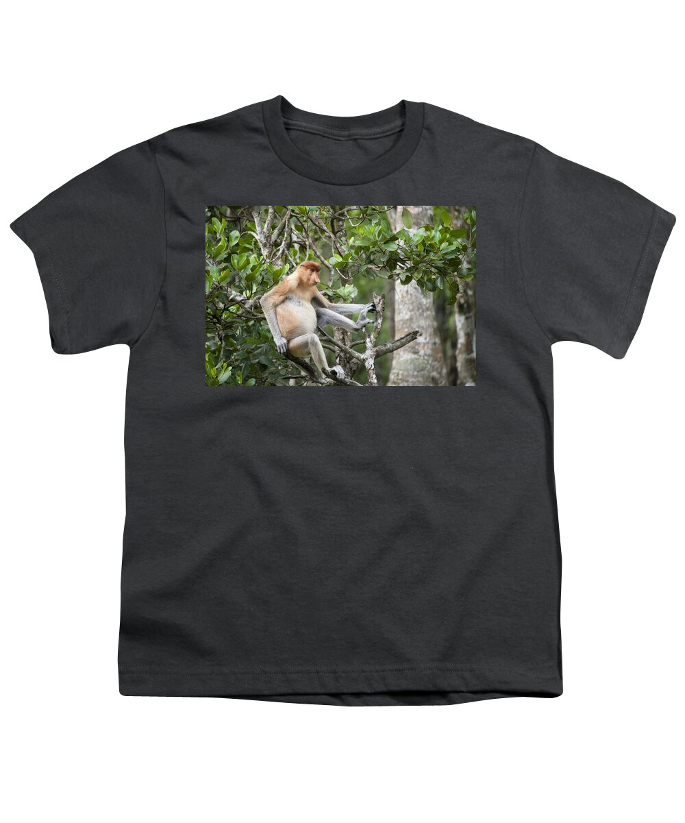 Suzi Eszterhas Youth T-Shirt featuring the photograph Proboscis Monkey In Tree Sabah Borneo by Suzi Eszterhas