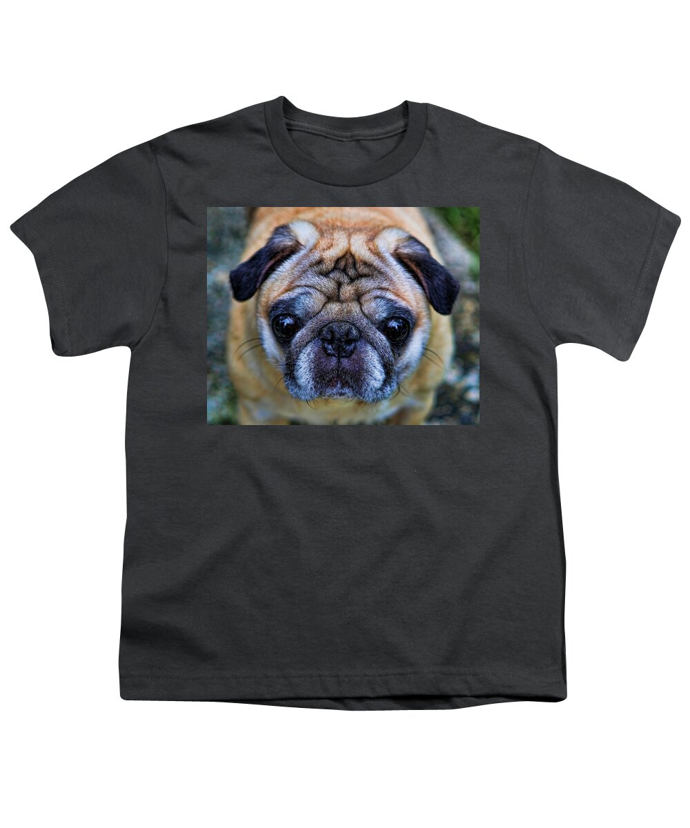 Interior Decoration Youth T-Shirt featuring the photograph Pug - Man's Best Friend by Lee Dos Santos