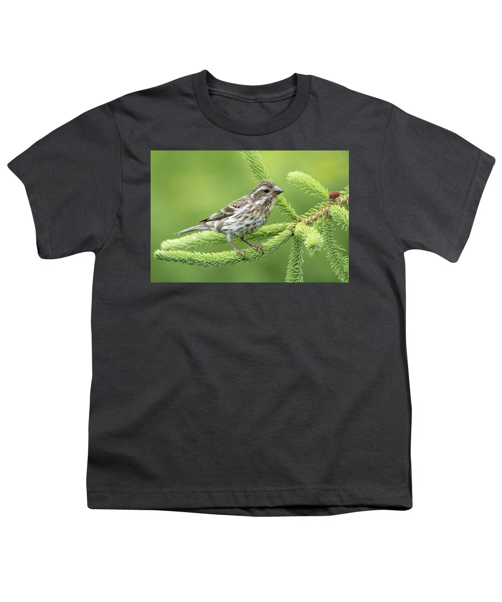 Scott Leslie Youth T-Shirt featuring the photograph Purple Finch Female Canada by Scott Leslie