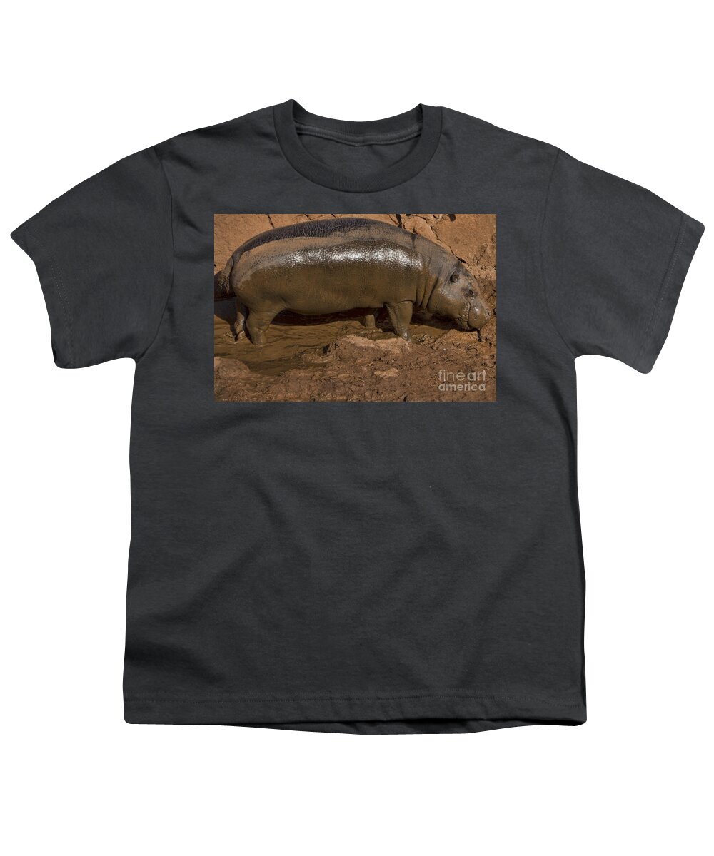 Pygmy Hippo Youth T-Shirt featuring the photograph Pygmy Hippo by Douglas Barnard