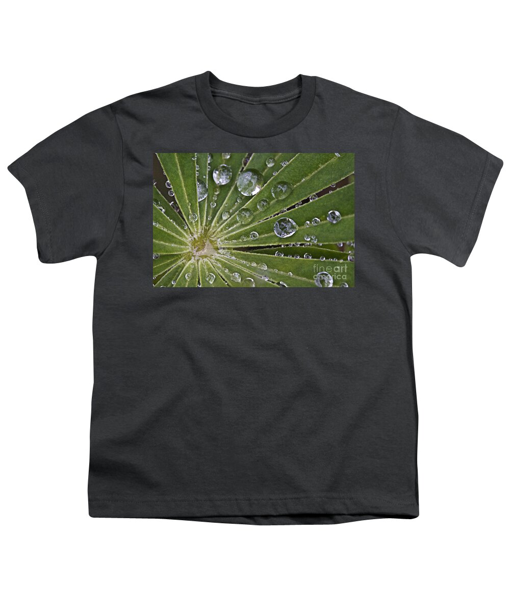 Drop Youth T-Shirt featuring the photograph Raindrops on Lupin Leaf by Heiko Koehrer-Wagner