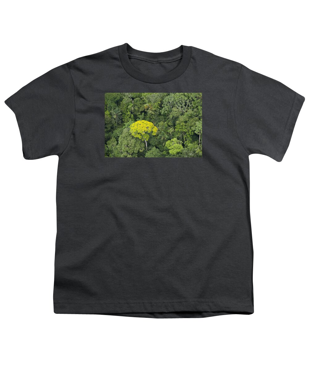 Feb0514 Youth T-Shirt featuring the photograph Rainforest Canopy Yasuni Ecuador by Pete Oxford
