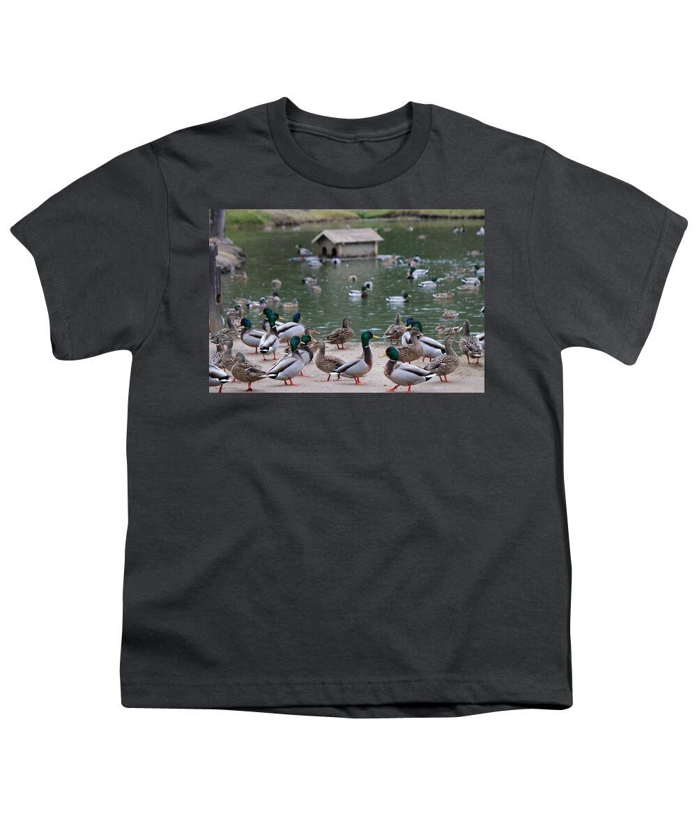 Duck Youth T-Shirt featuring the photograph Rainy Day Duck Party - 2 by Christy Pooschke