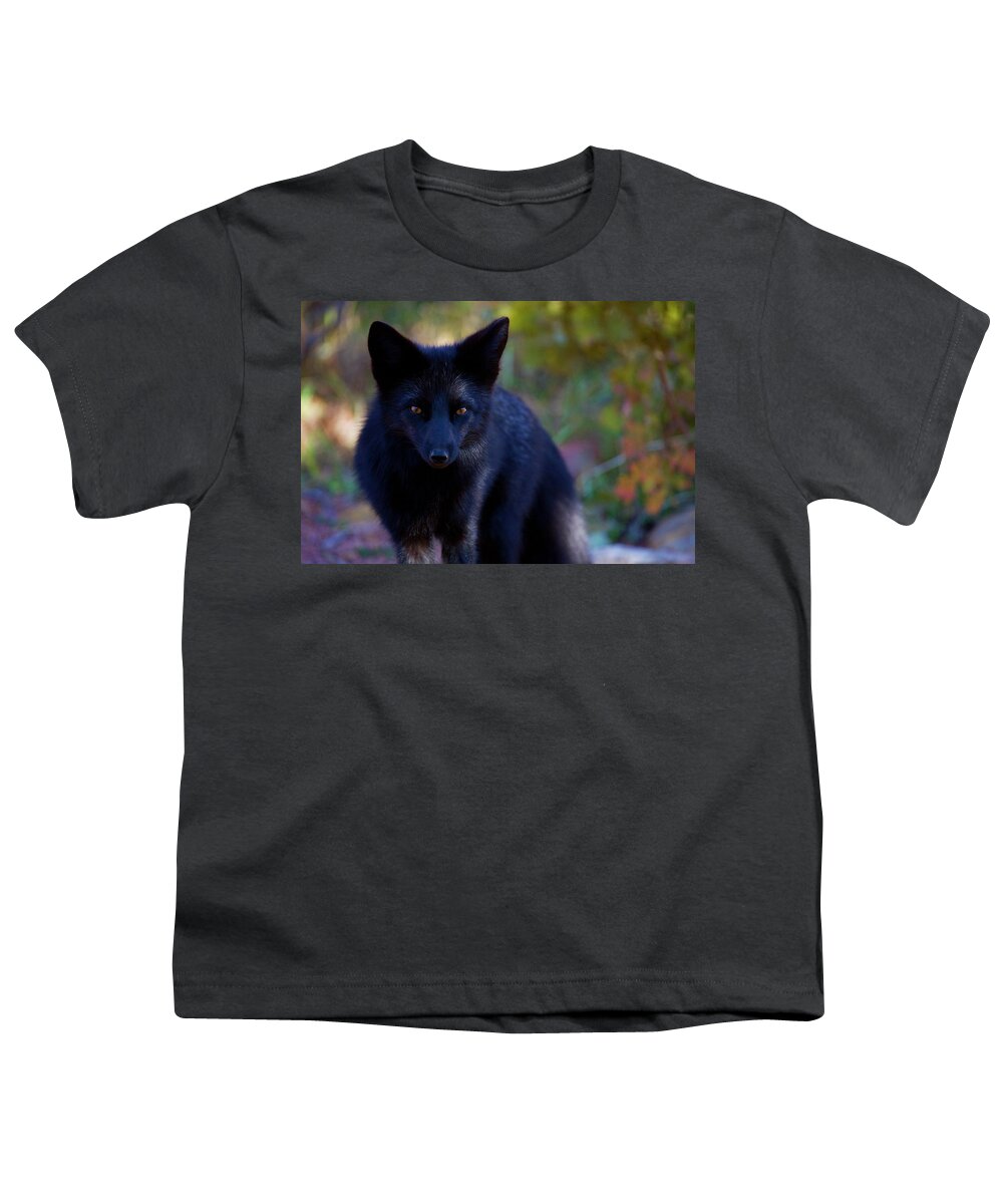 Fox Youth T-Shirt featuring the photograph Reading the Menu by Jim Garrison