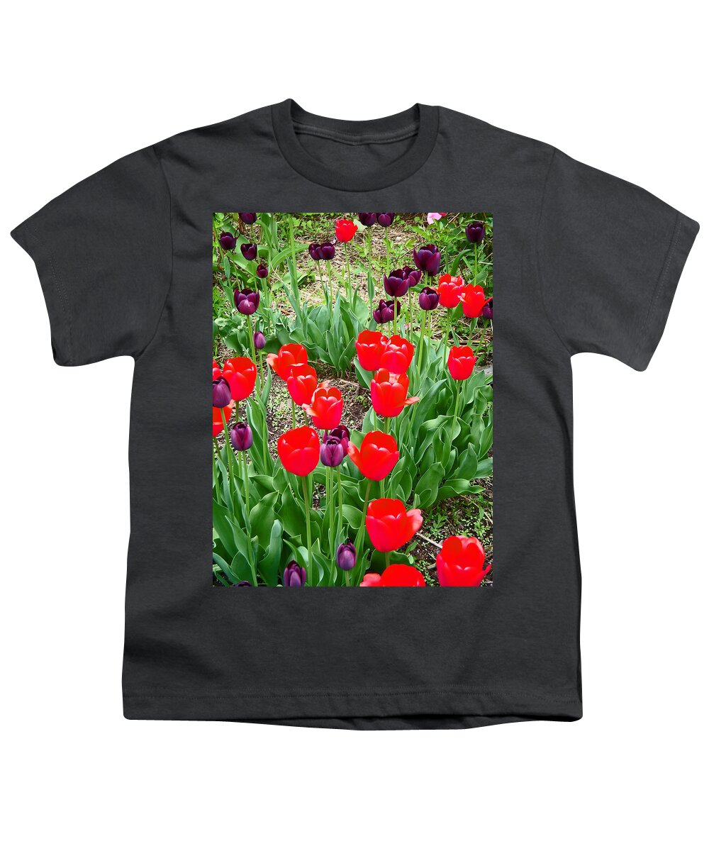 Red Tulips Youth T-Shirt featuring the photograph Red and Purple Tulips by Aimee L Maher ALM GALLERY