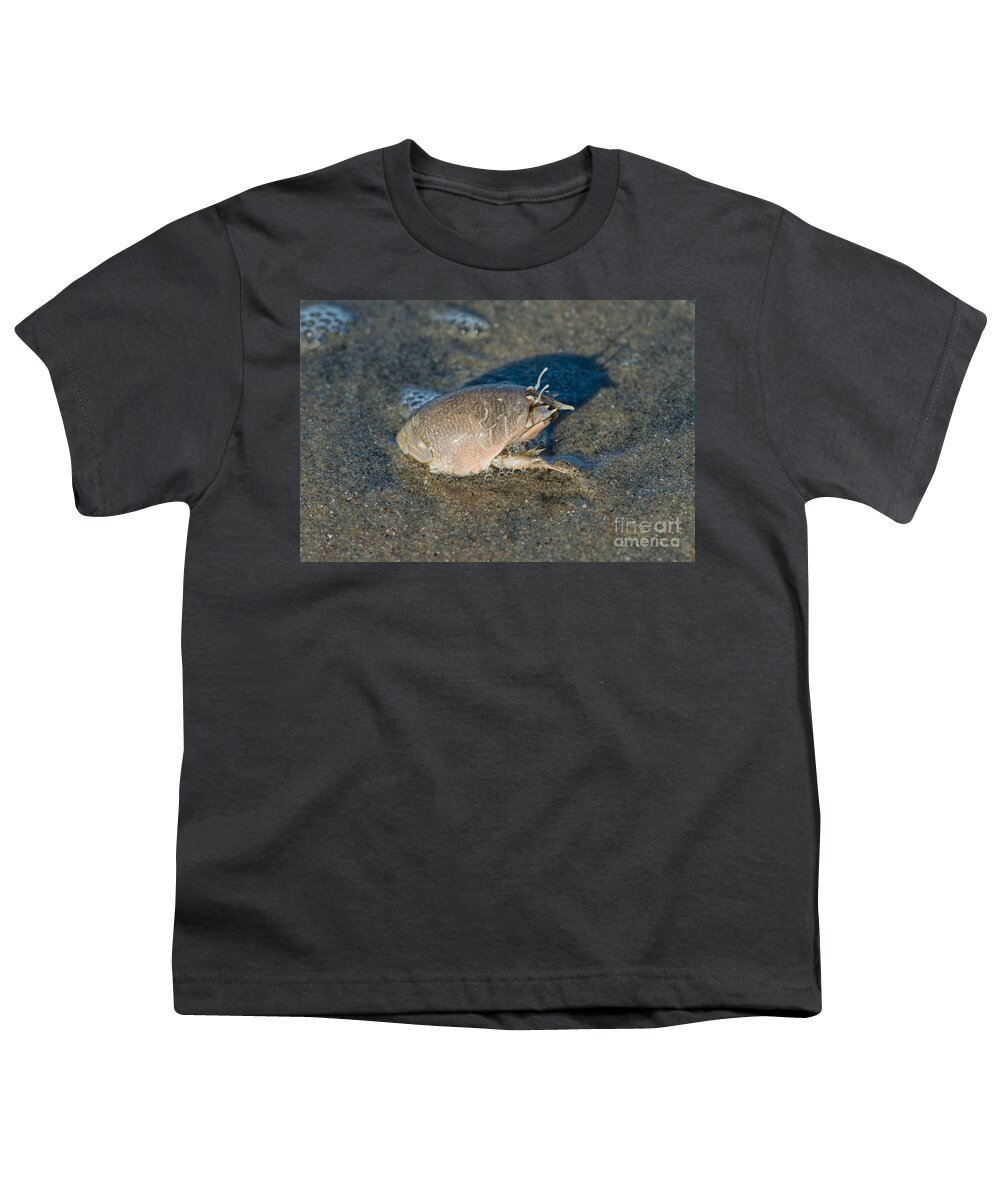Pacific Sand Crab Youth T-Shirt featuring the photograph Sand Crab Or Mole Crab by Anthony Mercieca