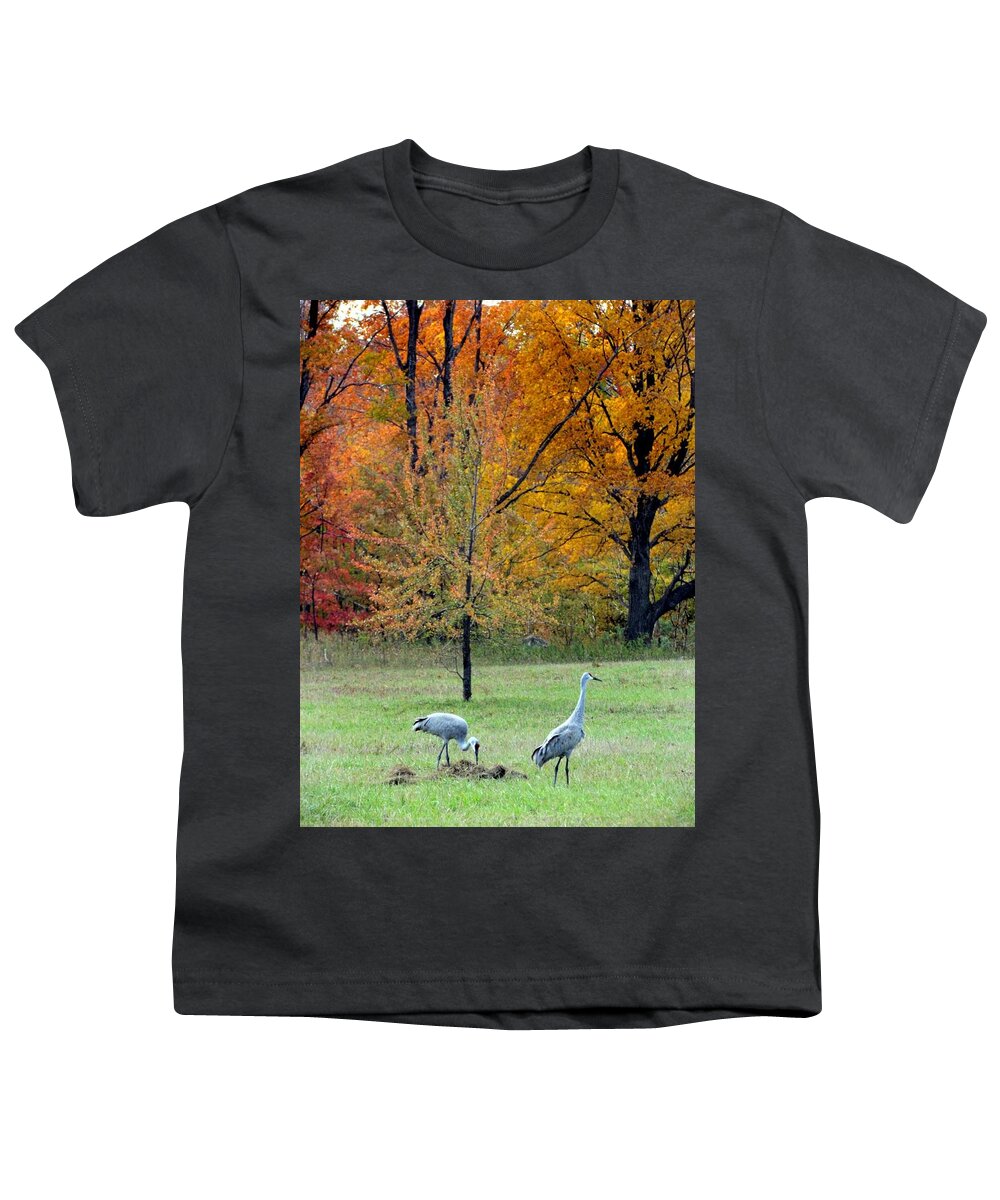 Sandhill Cranes Youth T-Shirt featuring the photograph Sandhill Cranes by David T Wilkinson