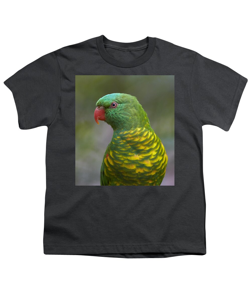 Martin Willis Youth T-Shirt featuring the photograph Scaly-breasted Lorikeet Australia by Martin Willis