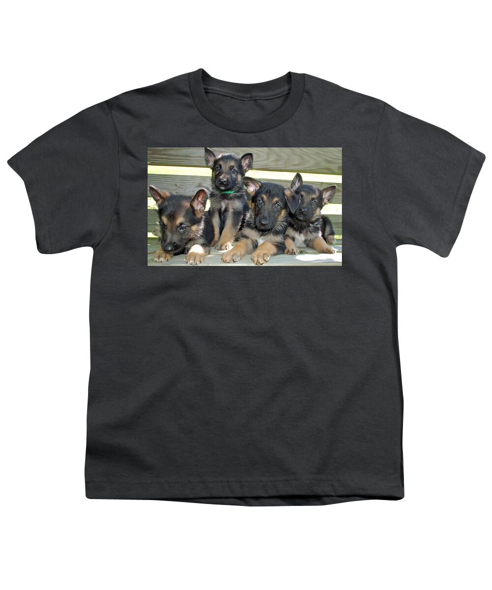 Animal.dog Youth T-Shirt featuring the photograph Shepherd Pups 6 by Aimee L Maher ALM GALLERY