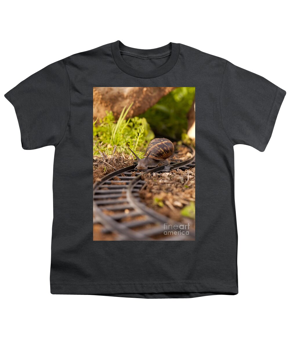 Slowness Youth T-Shirt featuring the photograph Snail on train tracks by Guy Viner