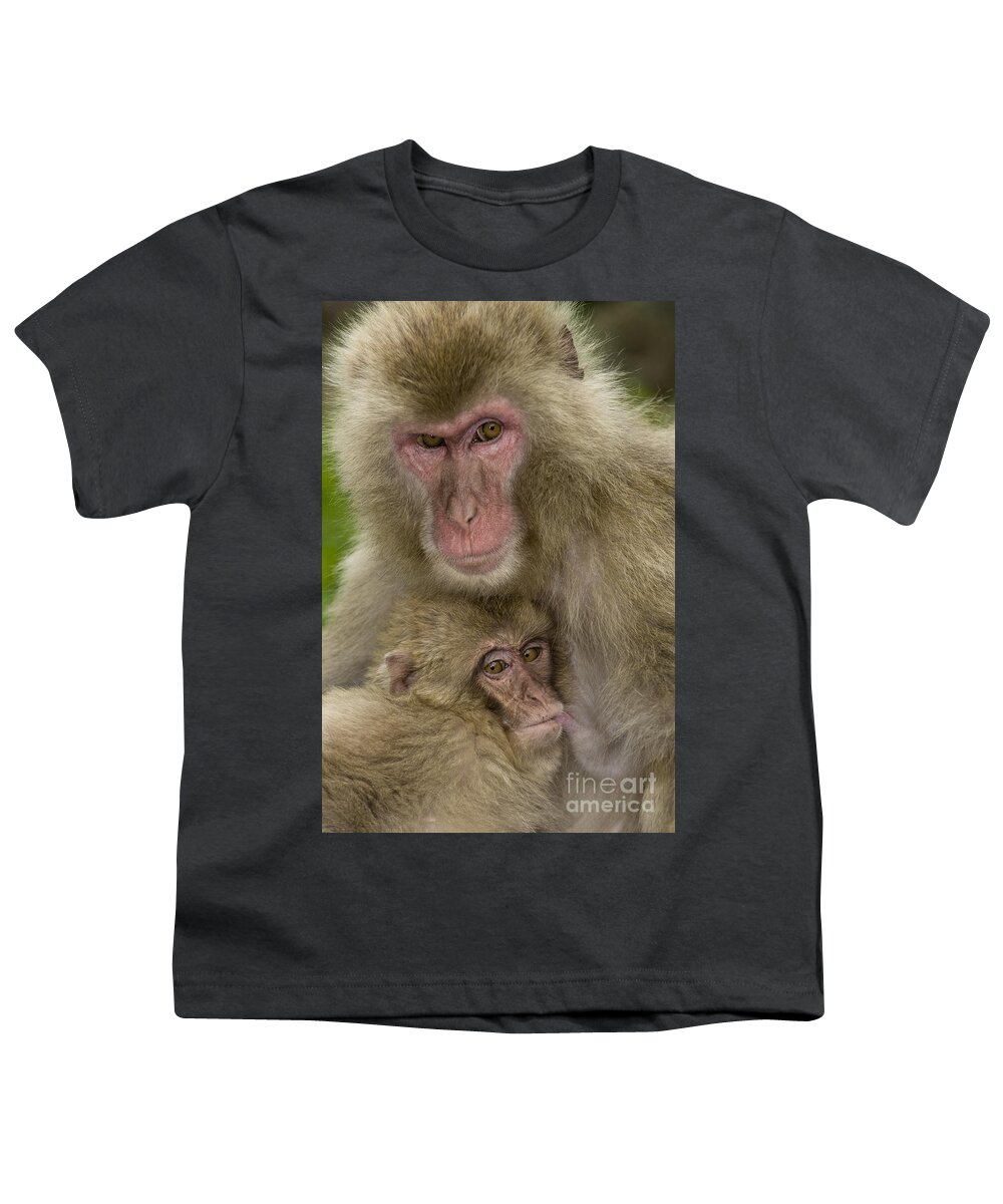 Asia Youth T-Shirt featuring the photograph Snow Monkeys, Mother With Baby, Japan by John Shaw