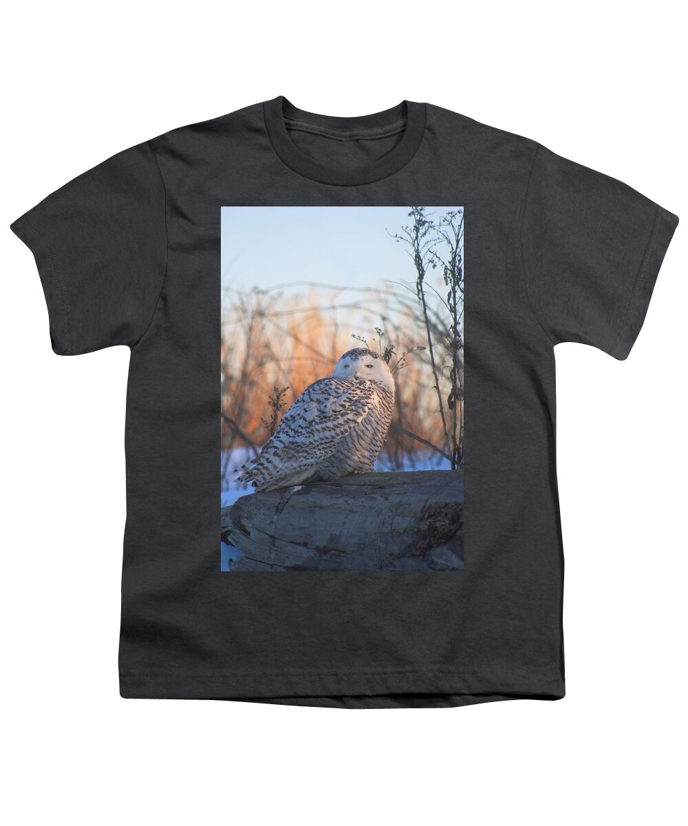 Wildlife Youth T-Shirt featuring the photograph Snowy Owl on Log by John Burk