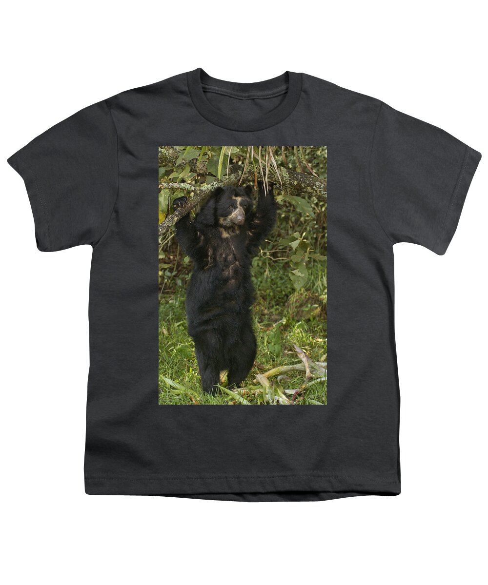Feb0514 Youth T-Shirt featuring the photograph Spectacled Bear In Cloud Forest by Pete Oxford