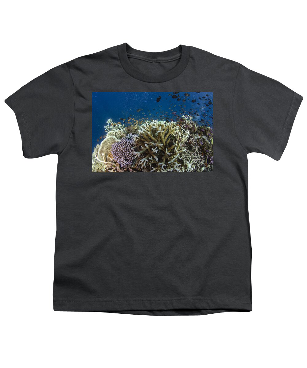 Pete Oxford Youth T-Shirt featuring the photograph Staghorn Coral And Fish Koro Island Fiji by Pete Oxford