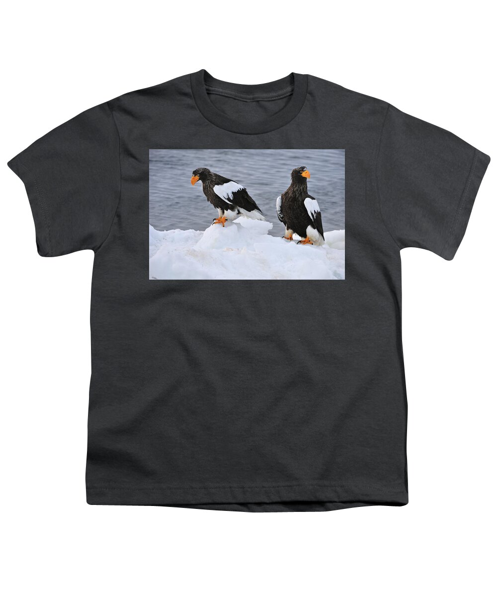 Thomas Marent Youth T-Shirt featuring the photograph Stellers Sea Eagles On Ice Hokkaido by Thomas Marent