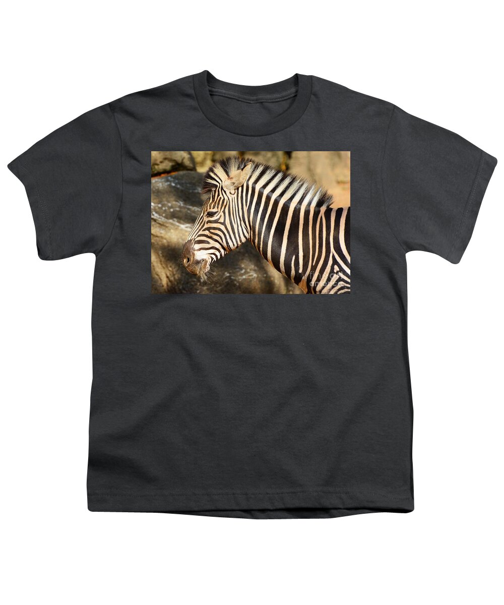 Zebra Youth T-Shirt featuring the photograph Stripes by Cindy Manero