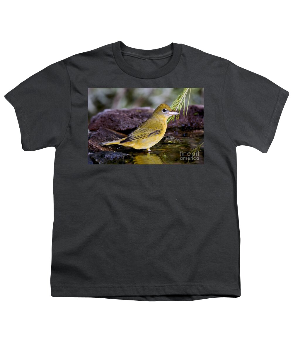Summer Tanager Youth T-Shirt featuring the photograph Summer Tanager Female In Water by Anthony Mercieca