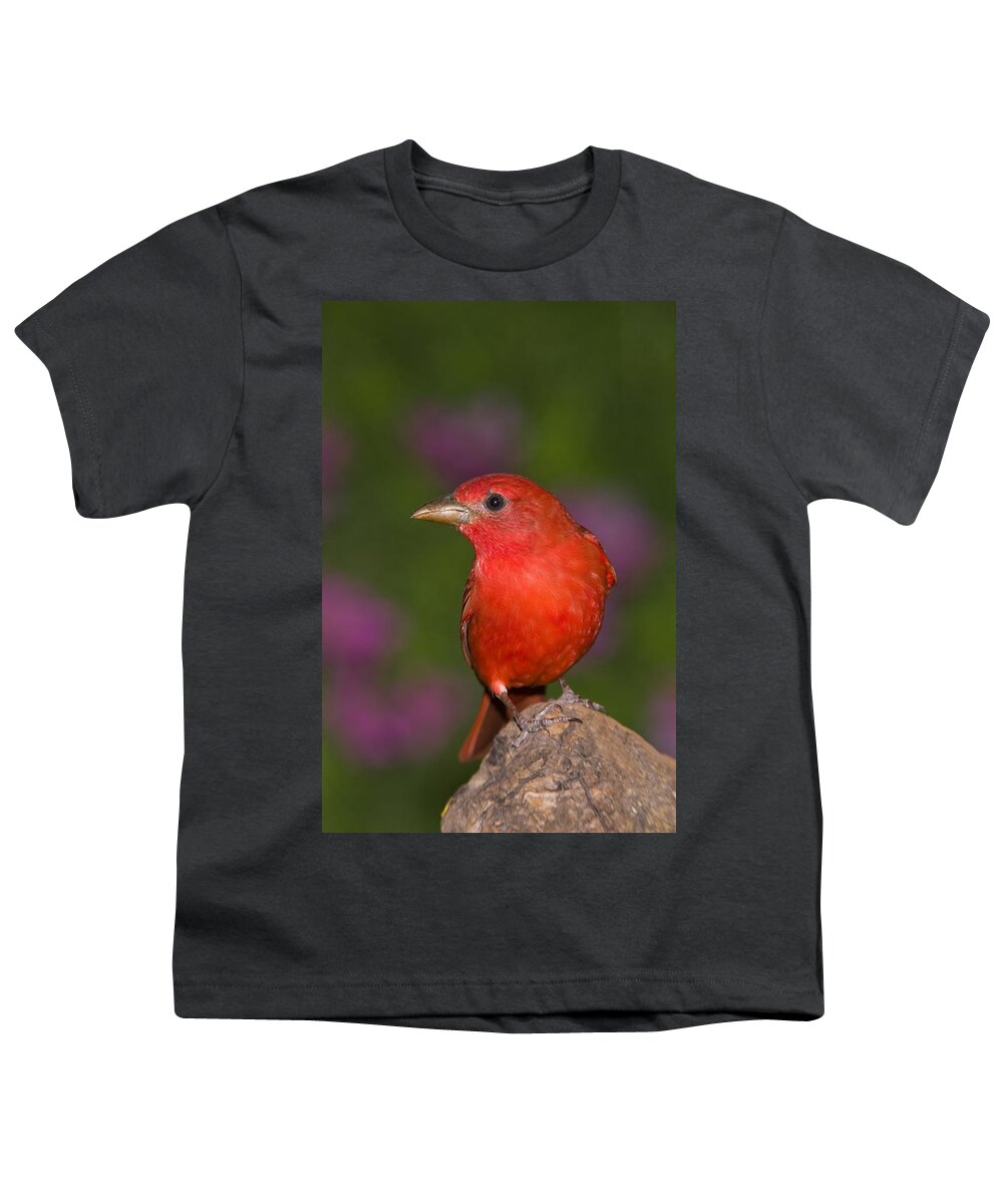 Feb0514 Youth T-Shirt featuring the photograph Summer Tanager Male Texas by Tom Vezo