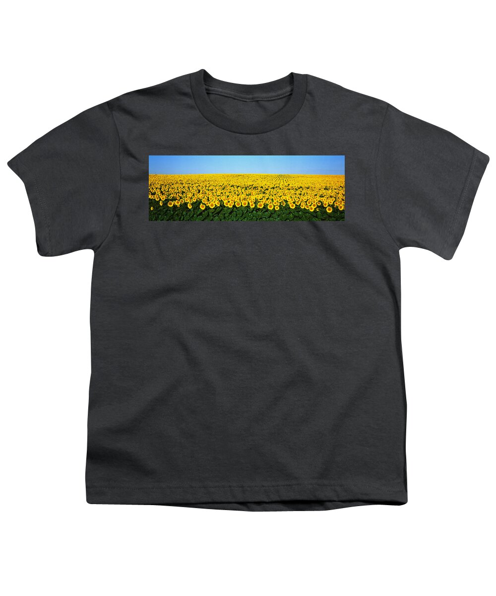 Photography Youth T-Shirt featuring the photograph Sunflower Field, North Dakota, Usa by Panoramic Images