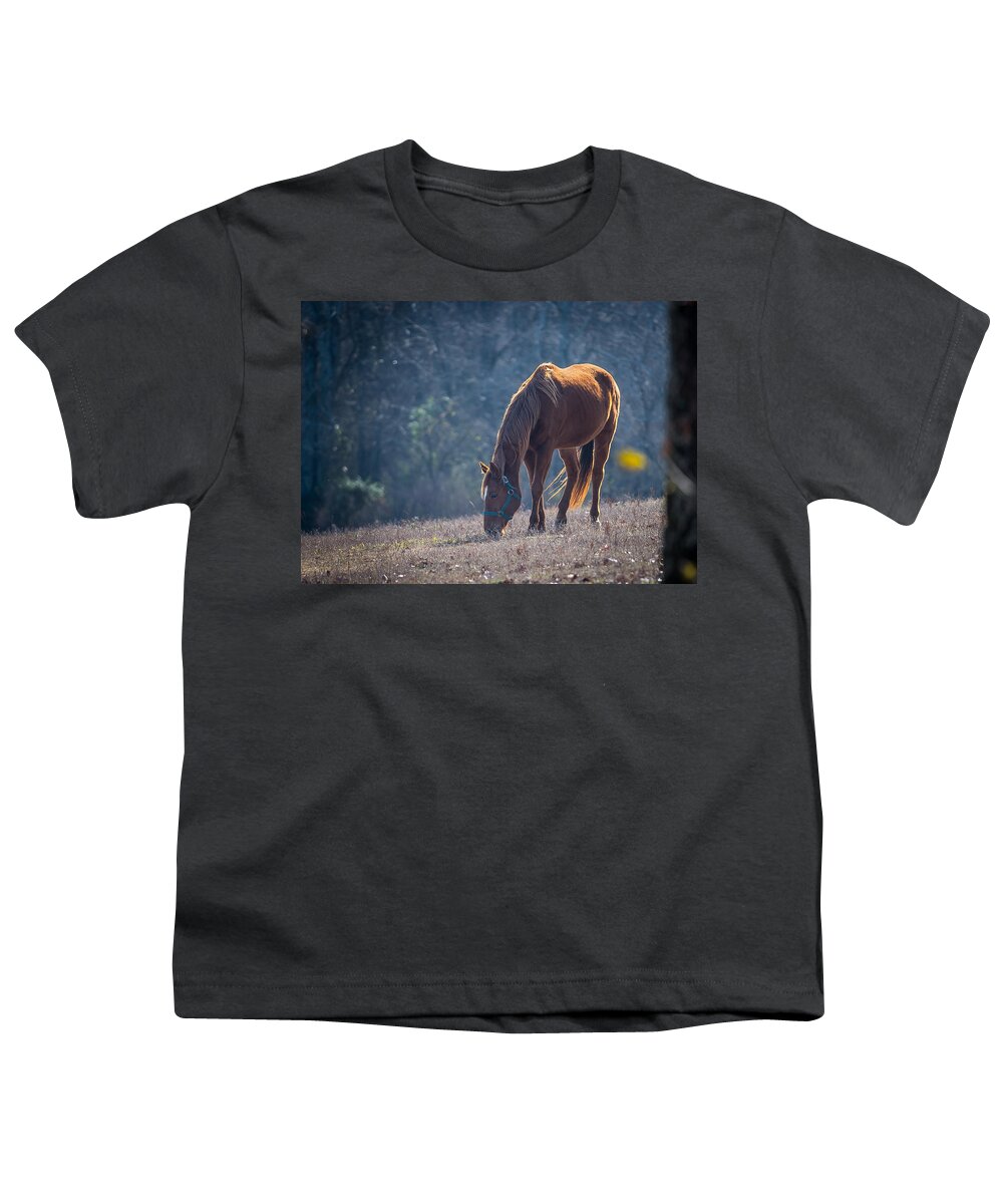Horse Youth T-Shirt featuring the photograph Sunny by David Downs