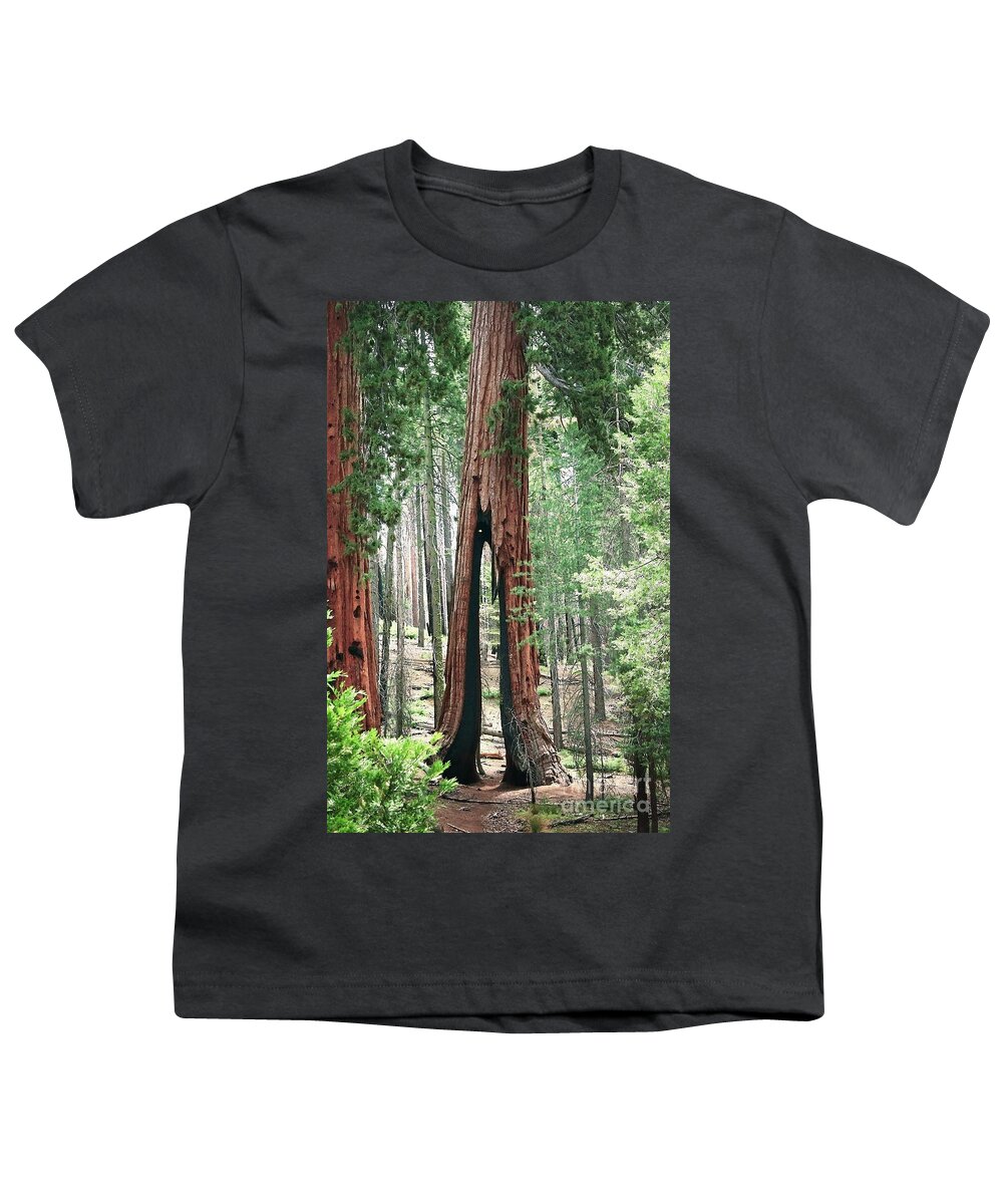 Yosemite Youth T-Shirt featuring the photograph Survivor by Ellen Cotton
