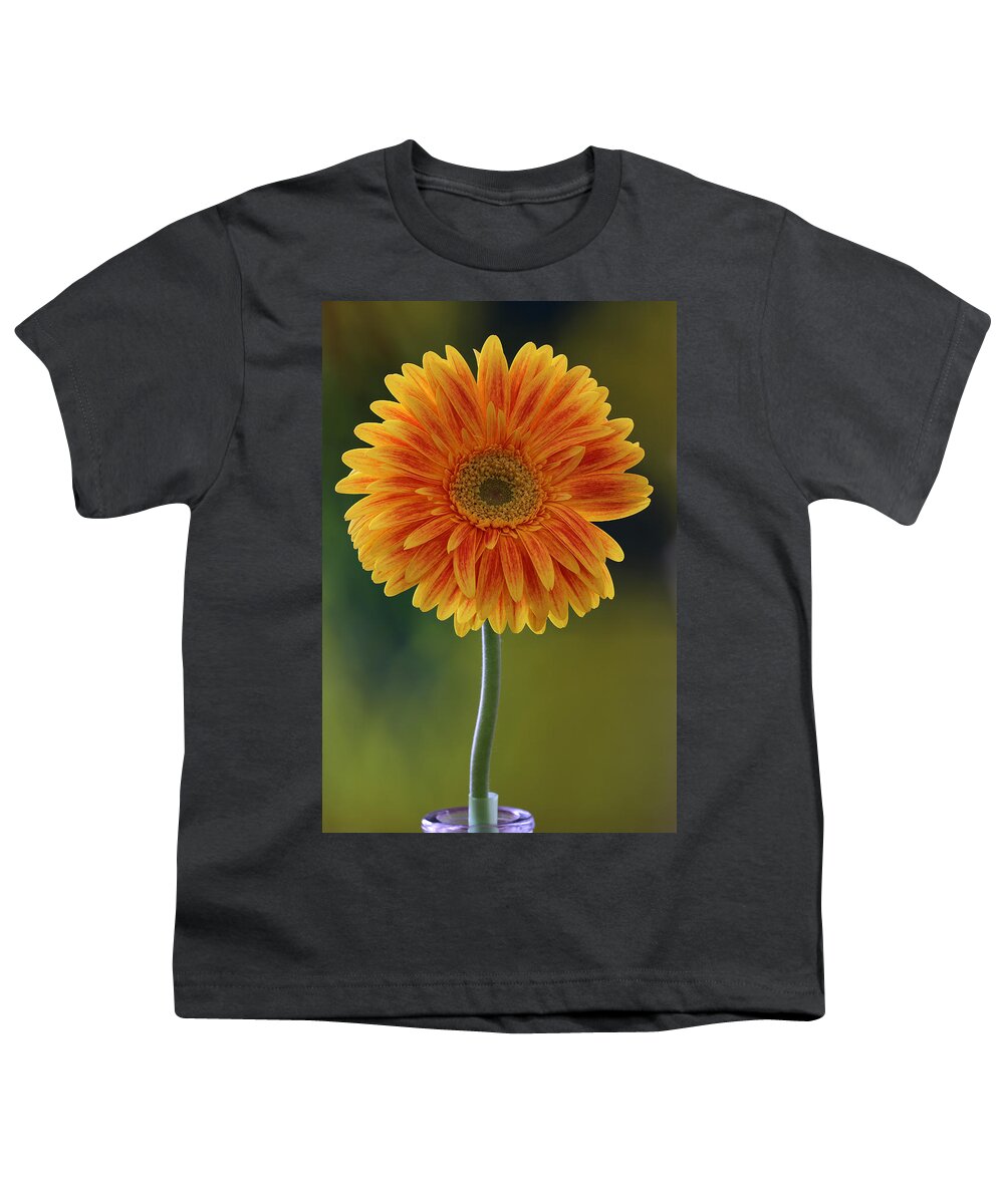 Daisy Youth T-Shirt featuring the photograph Sweet Daisy of Mine by Juergen Roth