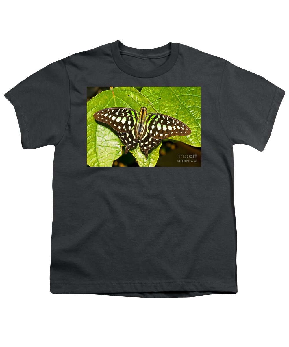 Nature Youth T-Shirt featuring the photograph Tailed Jay Butterfly by Millard H. Sharp