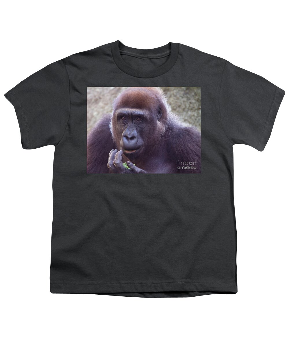Busch Gardens Youth T-Shirt featuring the photograph Tasty Lettuce by Sue Karski