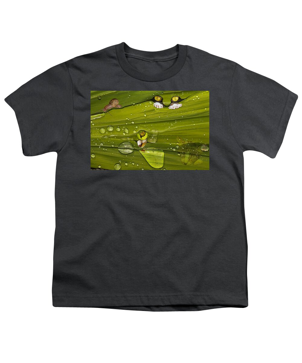 Cat Youth T-Shirt featuring the photograph The First Rain by Angela Stanton