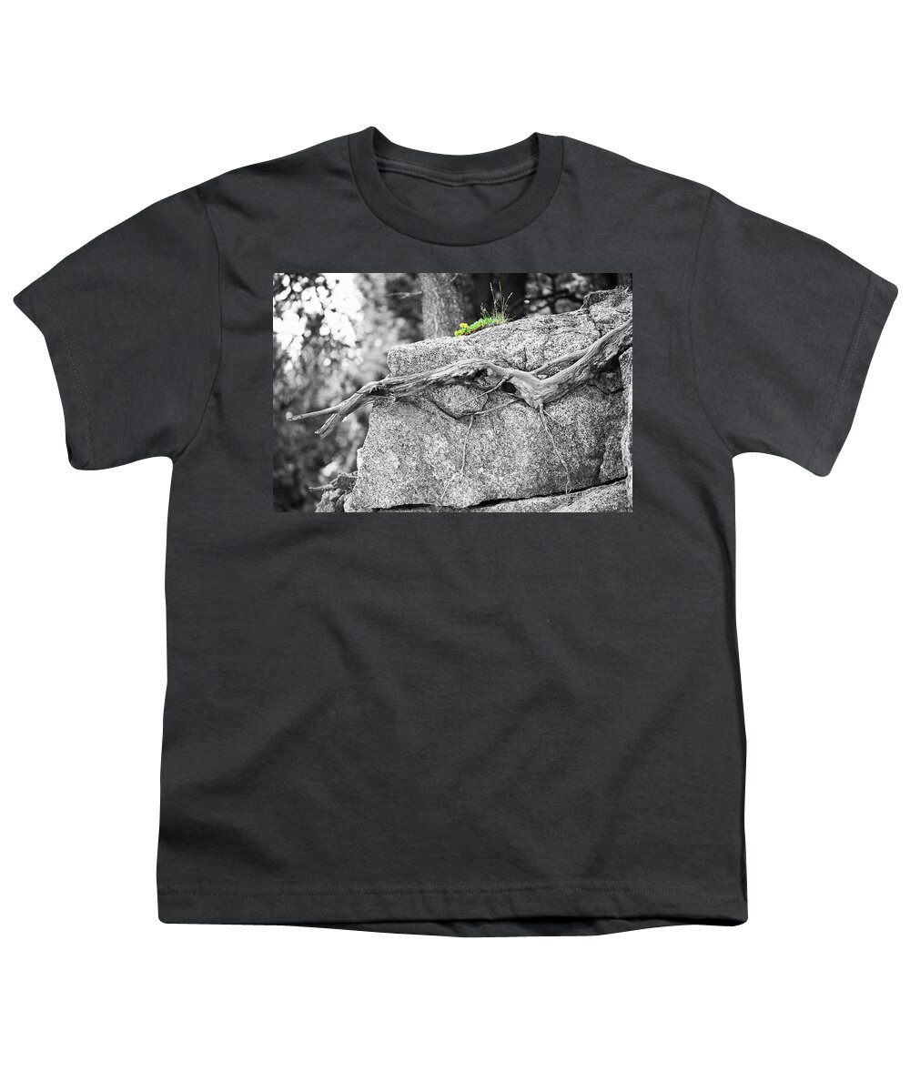 Hard Rock Cafe Print Youth T-Shirt featuring the photograph The Hard Rock Cafe by Jim Garrison