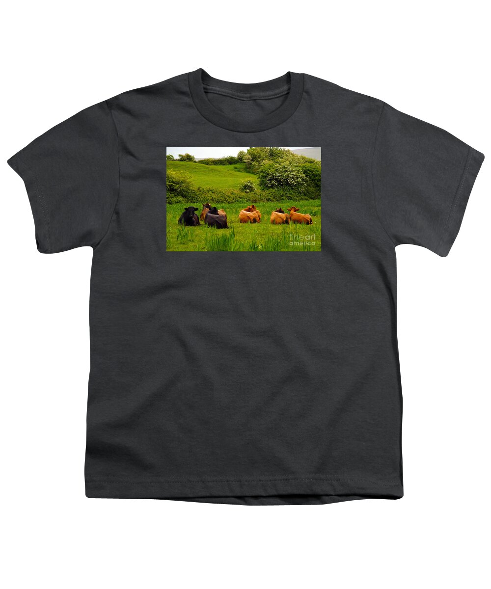 Cow Photography Youth T-Shirt featuring the photograph The Lookout by Patricia Griffin Brett
