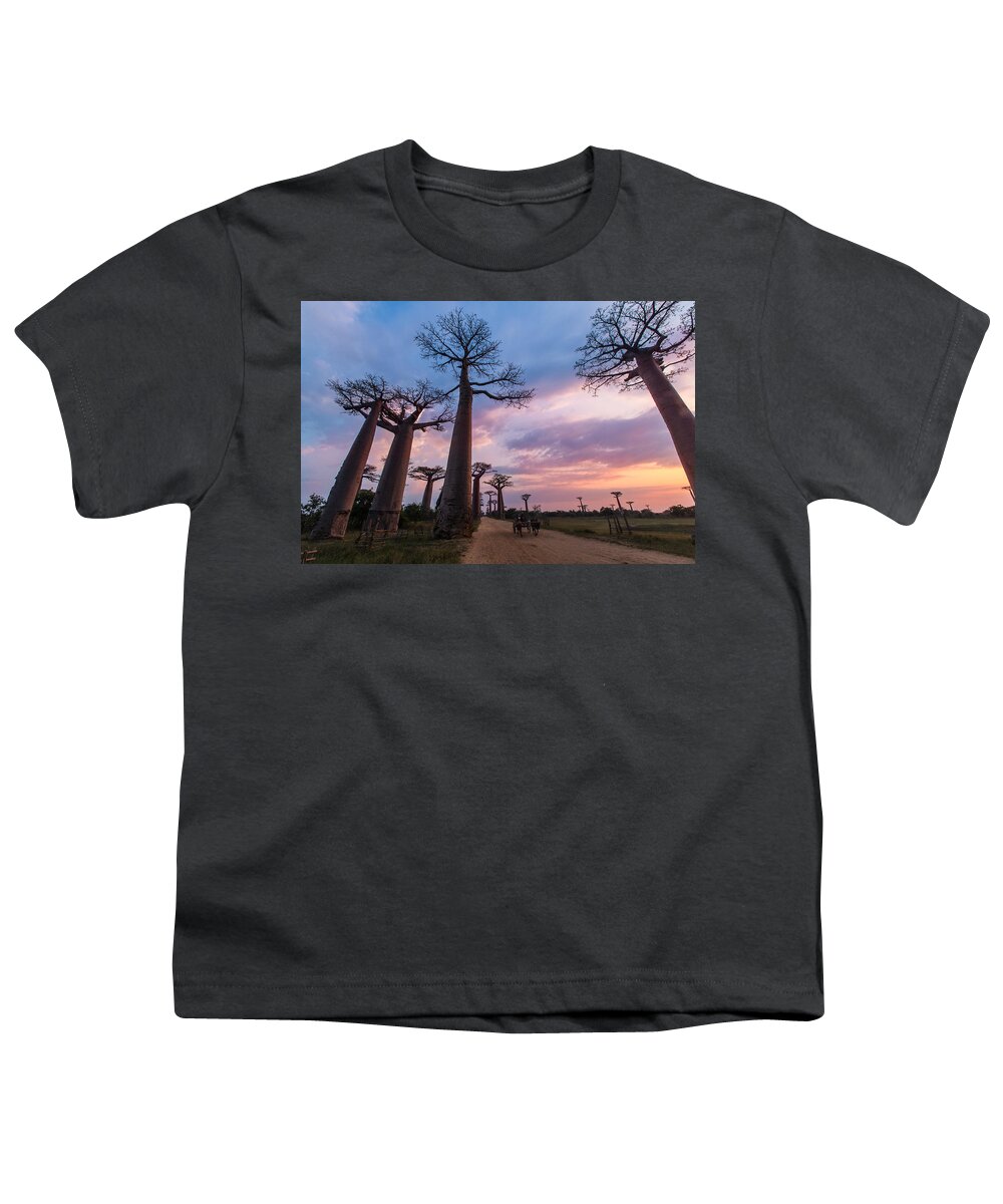 Dawn Youth T-Shirt featuring the photograph The Road to Morondava by Alex Lapidus