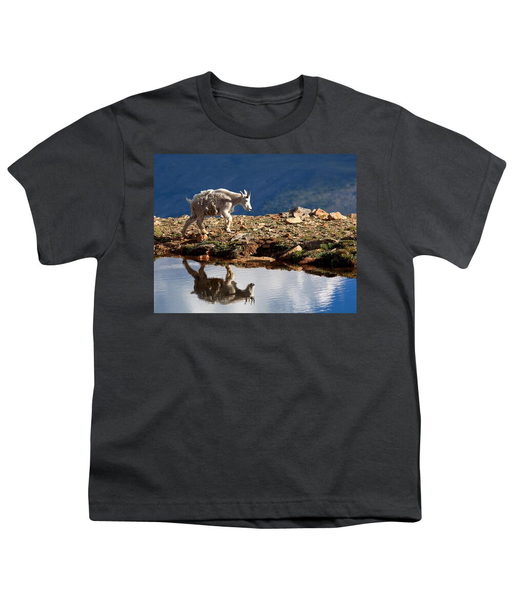 Mountain Goats Youth T-Shirt featuring the photograph The Walk-About by Jim Garrison