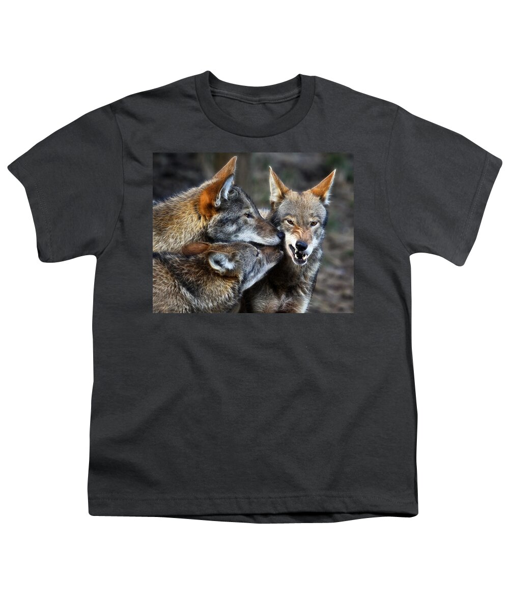 Red Wolf Youth T-Shirt featuring the photograph Three Bad Wolves by Steve McKinzie