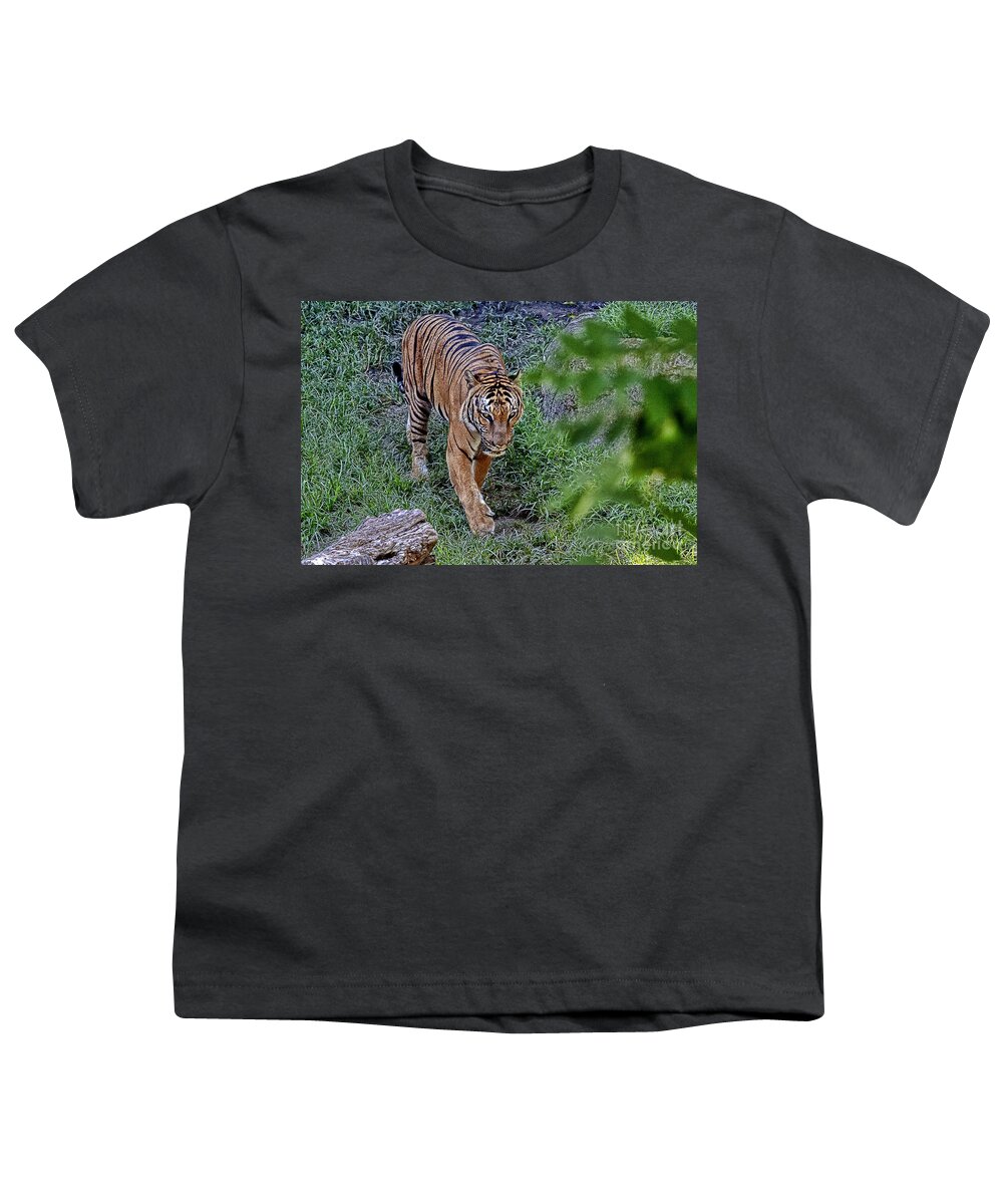 Tiger Youth T-Shirt featuring the photograph Tiger on the Prowl V3 by Douglas Barnard