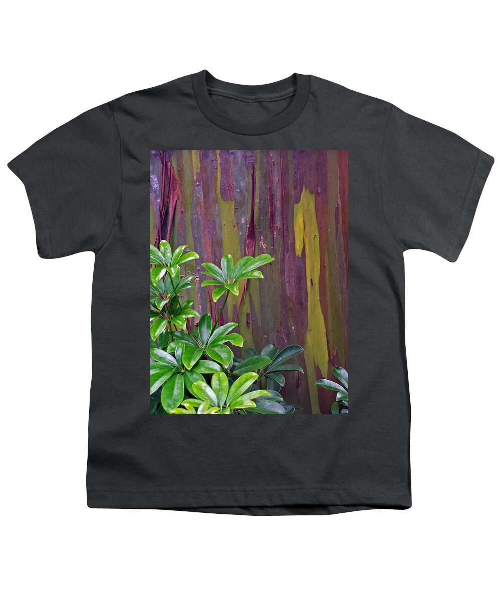 Plants Youth T-Shirt featuring the photograph Tree with yellow lines by Jennifer Robin